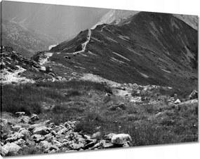 Képek 100x70 Tátra Lengyel hegyek Kilátás