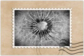 Poszterek 90x60 Pitypang Virág Virágok