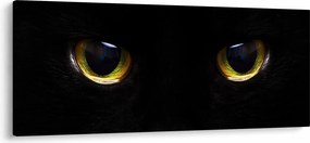 Kép - Macskaszemek (120x50 cm)