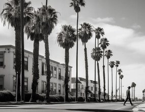 Poszter 65x50cm Séta a pálmafák árnyékában