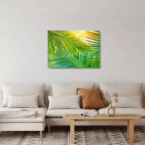Üveg kép - Pálmalevelek (70x50 cm)