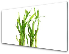 Akril üveg kép Bamboo Stem Flower Plant 120x60 cm 4 fogas