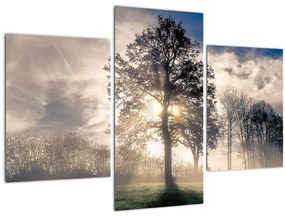 Fa a ködben képe (90x60 cm)