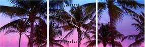Kép - Pálmafák Miamiban (órával) (90x30 cm)