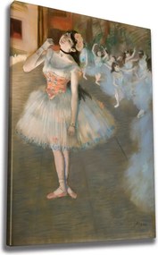 Vászonkép, 50×70 cm – WY303