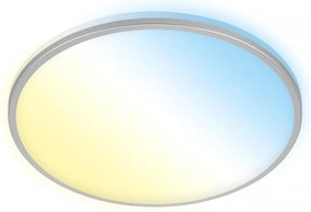 Briloner 3064-014 - LED dimmelhető mennyezeti lámpa IVY 24W/230V Wi‑Fi Tuya Ø33,3 cm + távirányító