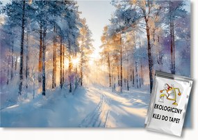 FotĂłtapĂ©ta Flizelina ErdĆ FĂĄk Ăt TĂ©l HĂł Fagy Nap 100x75 ragasztĂł