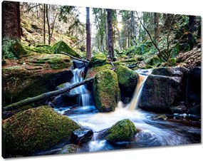 Festmények 100x70 Hegyi patak Tájkép