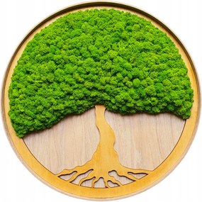 Moha kép Moha Krobot Tölgyfa keretben nagy 50cm Élő Fa kép XL