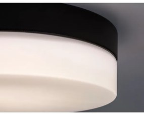 Rabalux 75025-LED Fürdőszobai mennyezeti lámpa GAELO LED/15W/230V átm. 23 cm fekete
