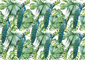 Fotótapéta Páva trópusi levelek arany minták egzotikus vinil 254x184 +ragasztó