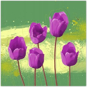 Poszterek 30x30 Mezei pipacs Divatos minta