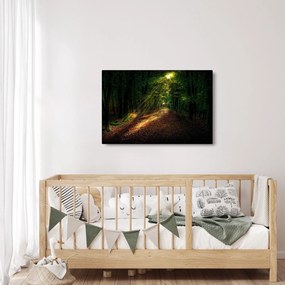 Erdei út képe (90x60 cm)