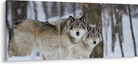 Kép - Farkasok télen (120x50 cm)