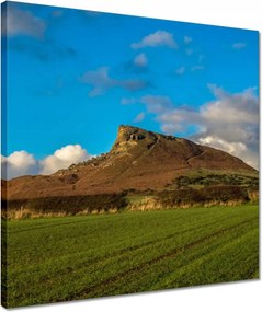 Vászonkép 40x40 Kilátás a rétről Hegy