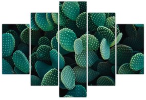 Kép - Opuntia (150x105 cm)