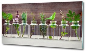 Egyedi üvegkép Növények tégelyek osh-107111601