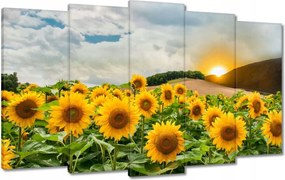 Vászonkép 100x60 Tájkép Napraforgók