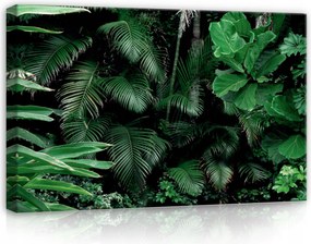 Vászonkép 60x40 Trópusok zöld levelek dzsungel természet frissesség nyugalom