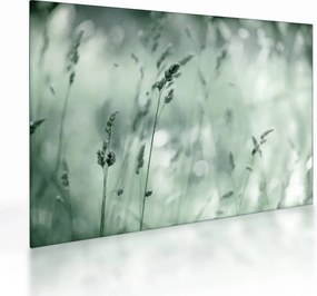 Üveg kép - Zöld rét (70x50 cm)