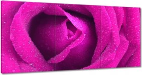 Vászonkép 120x60 Nőnap Ajándék Love