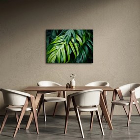 Kép - trópusi levelek (70x50 cm)