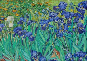 Fotótapéta Flizelin Dekoratív az irodába Kerti virágok 208x146 Ragasztó