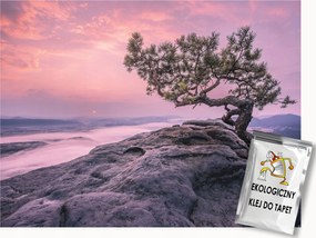 Fotótapéta Flizelina Tájkép Természet Fa Tenger Szikla 200x140 ragasztó