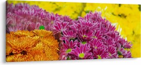 Rózsaszín virág képe (120x50 cm)