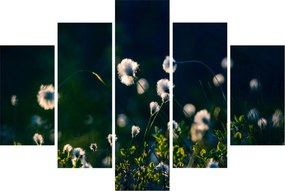 Kép - Fű (150x105 cm)