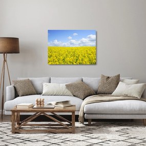 Egy sárga mező képe (üvegen) (70x50 cm)