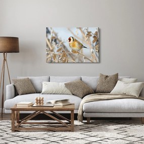 Kép - Aranypinty (90x60 cm)