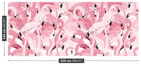 Fotótapéta rózsaszín flamingók 104x70 cm