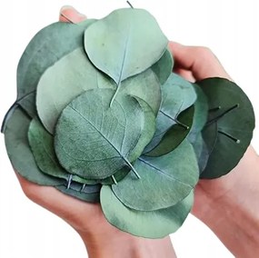 Eukaliptusz levelek mesterséges dekoráció illatos partikra 300+ db