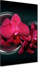 Vászonkép 80x120 Lila orchidea