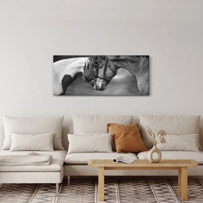 Kép - Szerelmes lovak, fekete-fehér (120x50 cm)