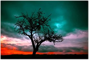 Poszterek 120x80 Naplemente a sivatagban