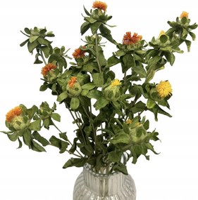 Szárított virágok, koszorúk, természetes dekorációk