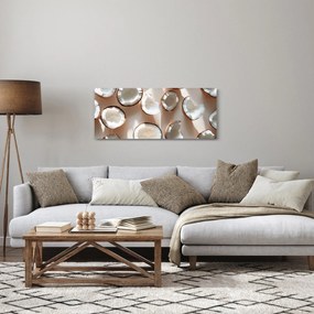 Kép - Kókuszdiók (120x50 cm)