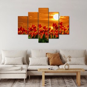 Kép egy virágzó mező tulipánokkal (150x105 cm)