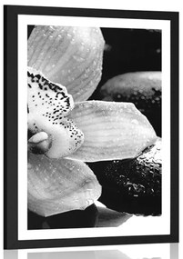 Poszter paszportuval exotikus orchidea fekete fehérben