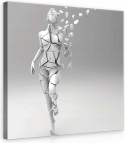 Vászonkép 40x40 Töredezettség Szétesés Transzformáció Nő Fehér Szürke Művészet