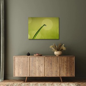 Víz csepp a fűben képe (70x50 cm)