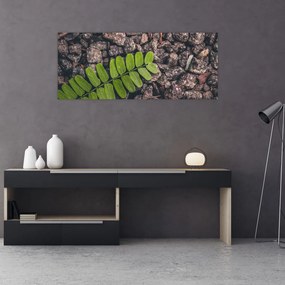 Zöld növények képe (120x50 cm)