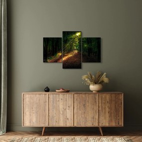 Erdei út képe (90x60 cm)