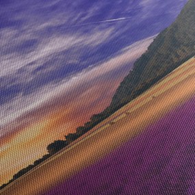 A levendula rét képe (70x50 cm)