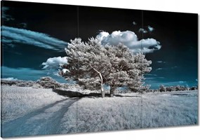 Festmények 120x80 Fa