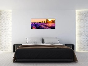 A levendula mező képe, Provence (120x50 cm)