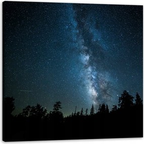 Vászonkép Kozmosz Éjszaka Erdő Köd Természet Csillagászat 90x90