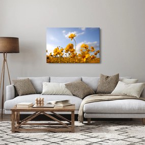 Fényes sárga virágokkal rendelkező mező képe (90x60 cm)